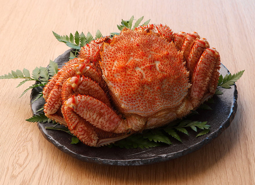 Crabs of Hokkaido